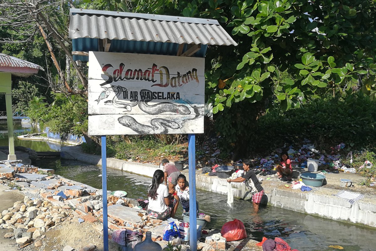 The sacred eels of Waai