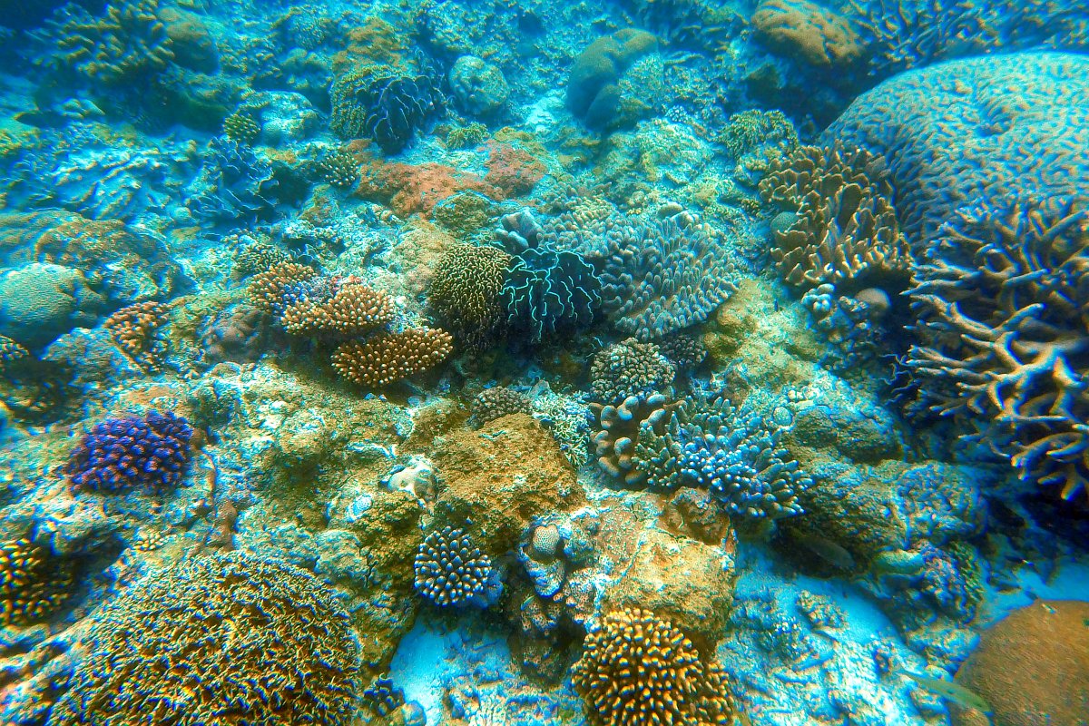 so much more to see underwater