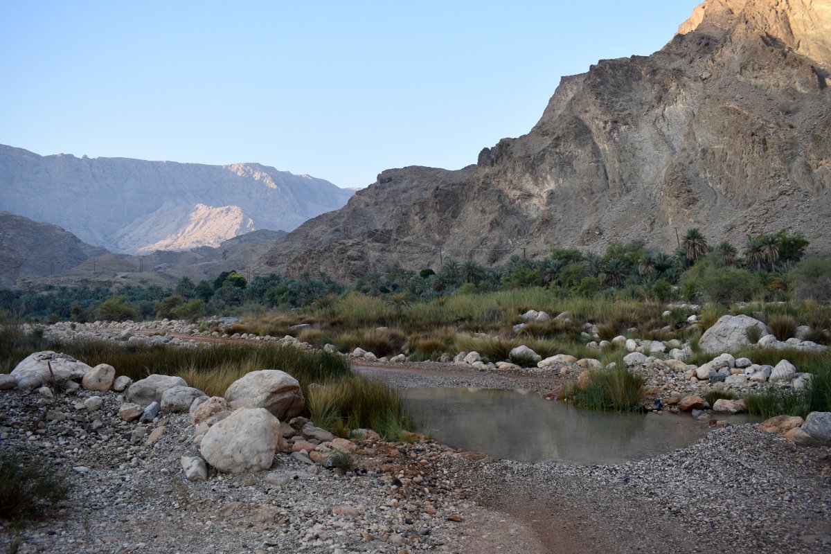Wadi Al Arbaeen