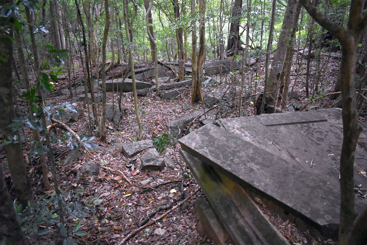 Ruins in the forest