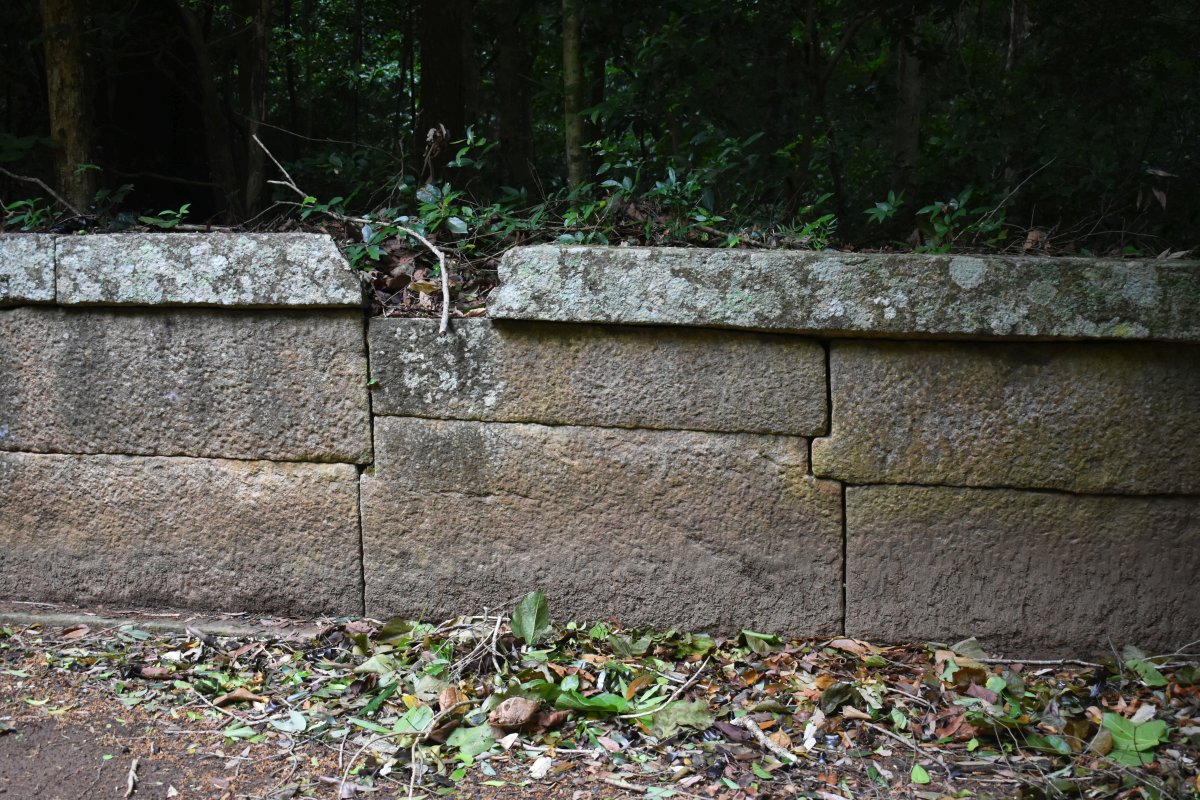 wall