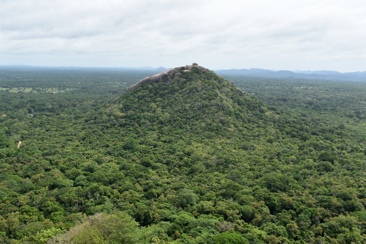 Pidurangala rock