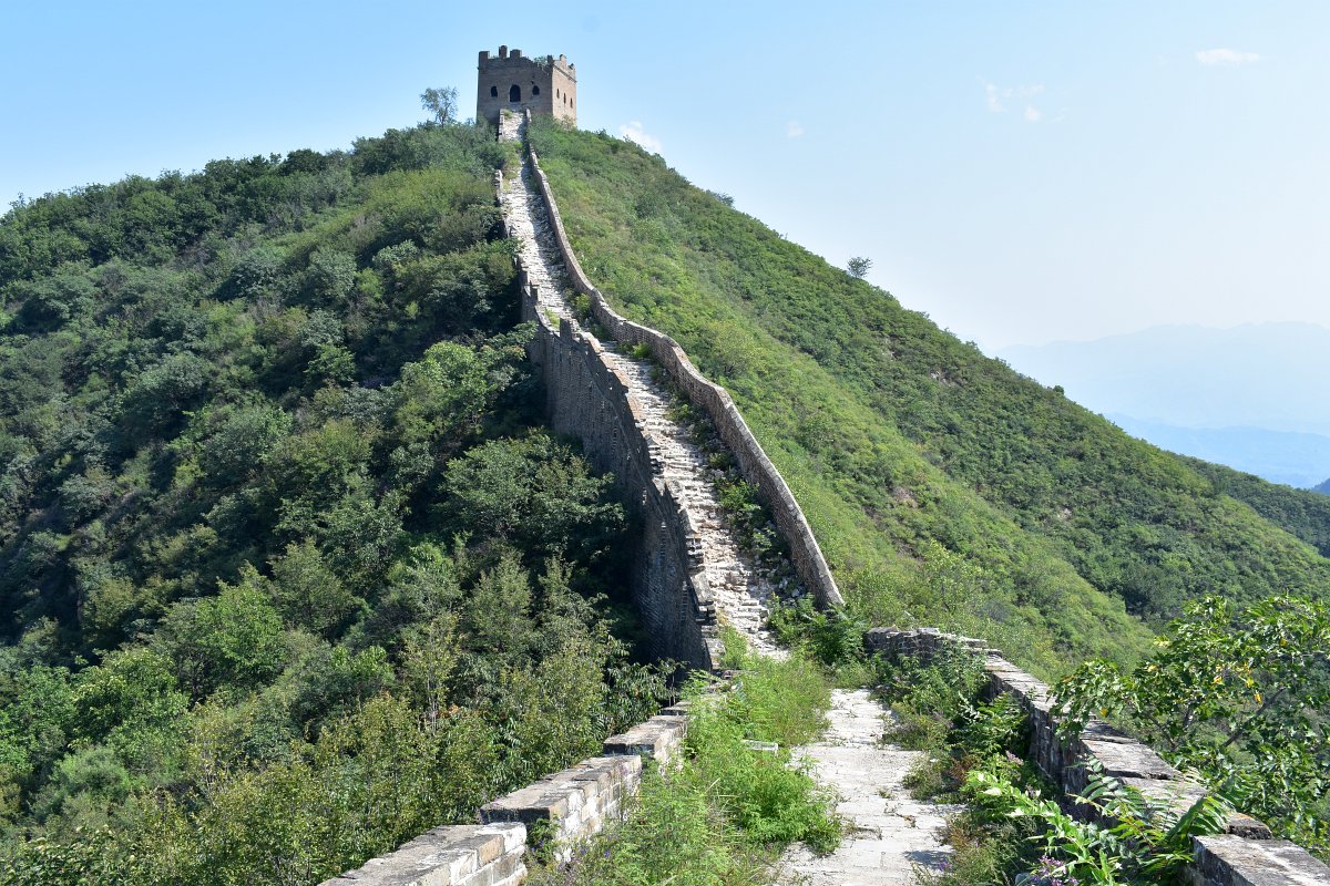 The "wild" wall