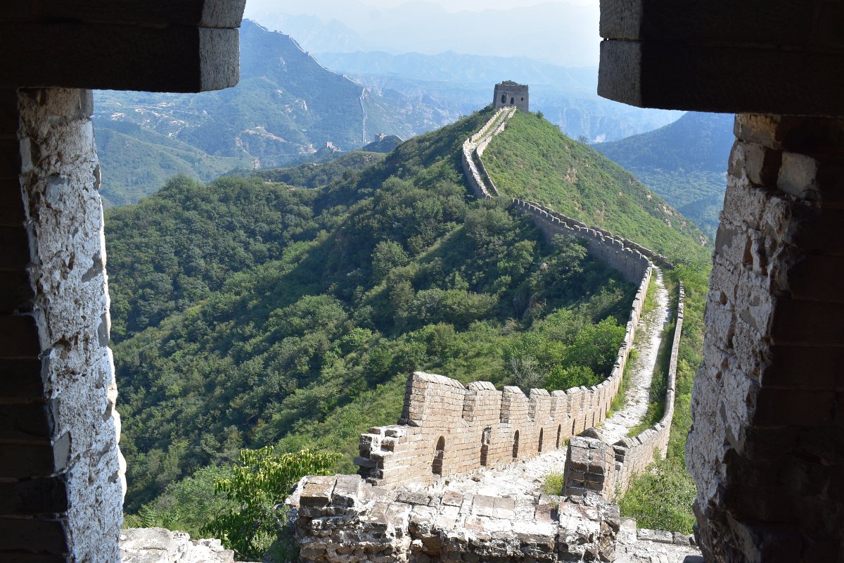The "wild" wall