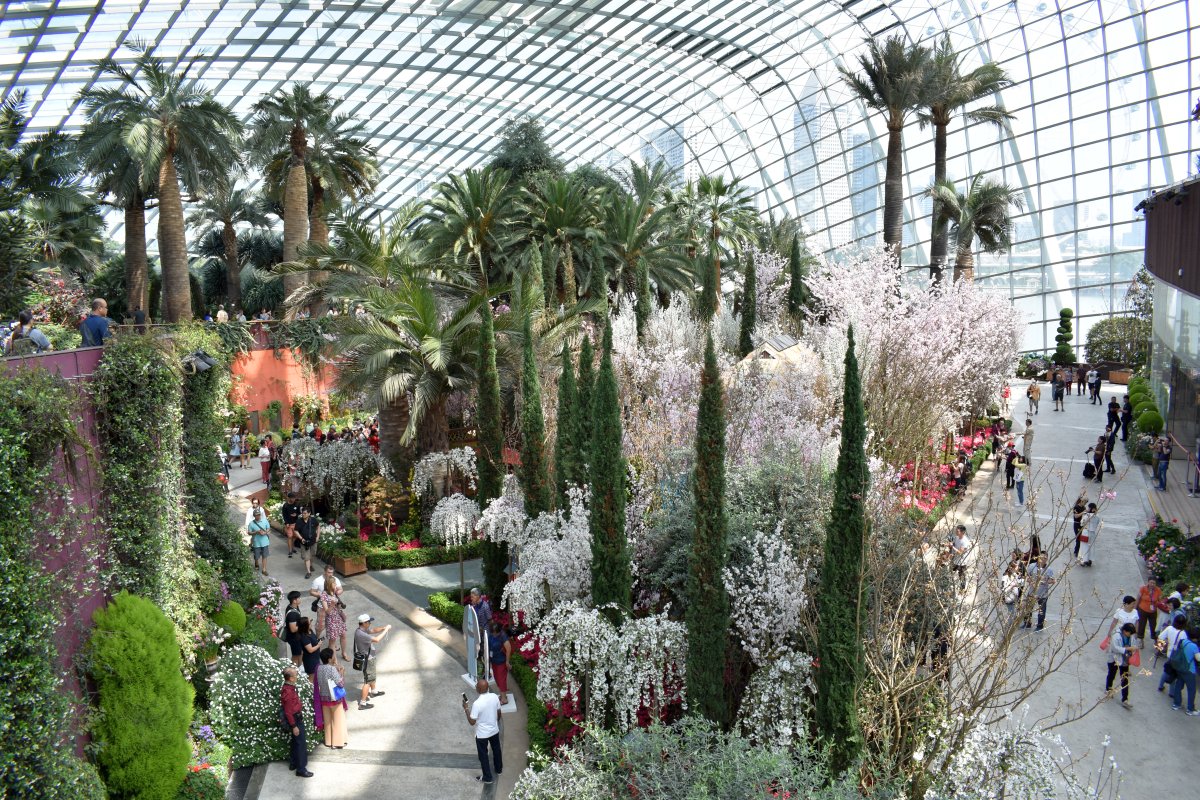 Flower Dome