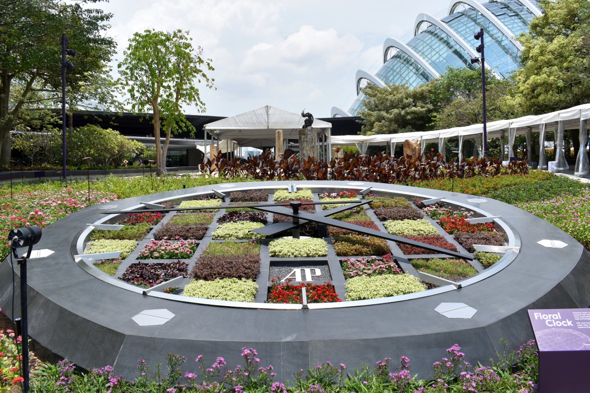 Flower clock - beautiful and accurate!