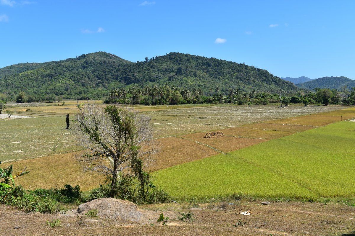 Road to Nacpan beach