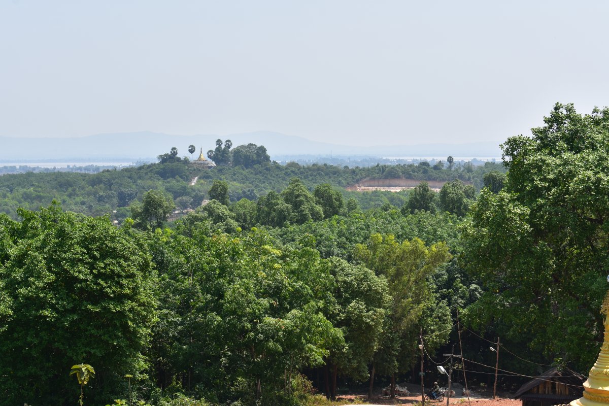 the view from the top