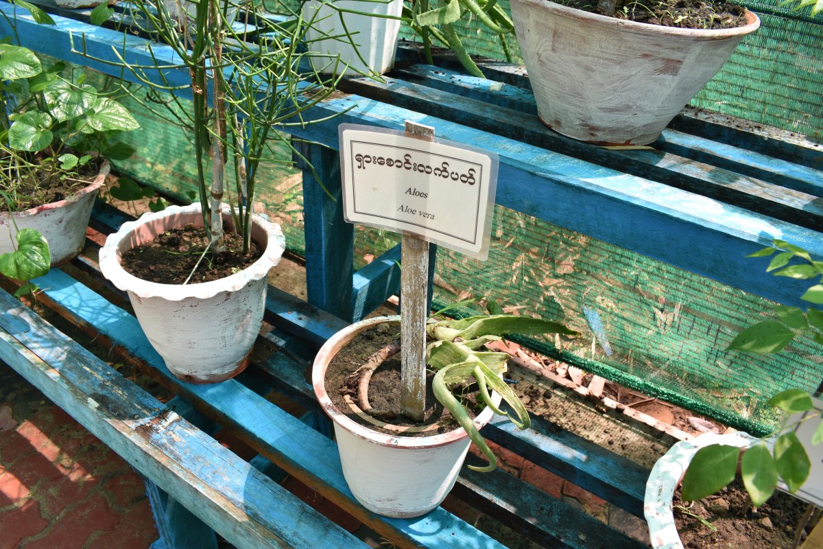 National Herbal Park