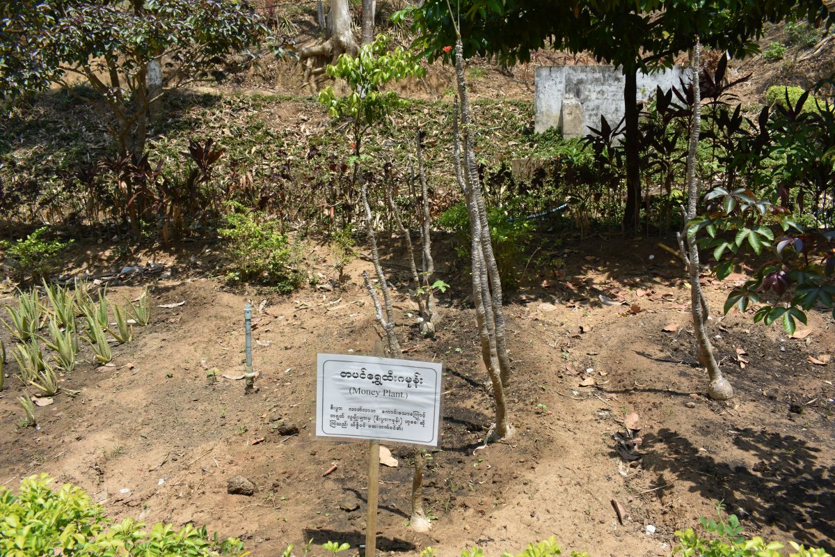 National Herbal Park