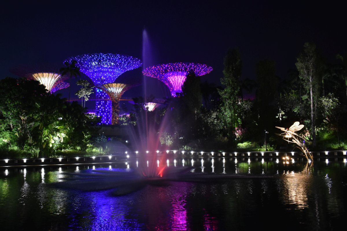 Supertree Groove light show