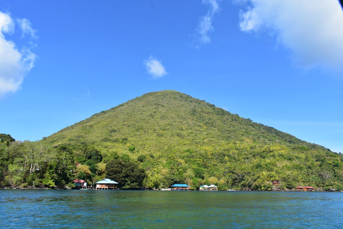 Api volcano