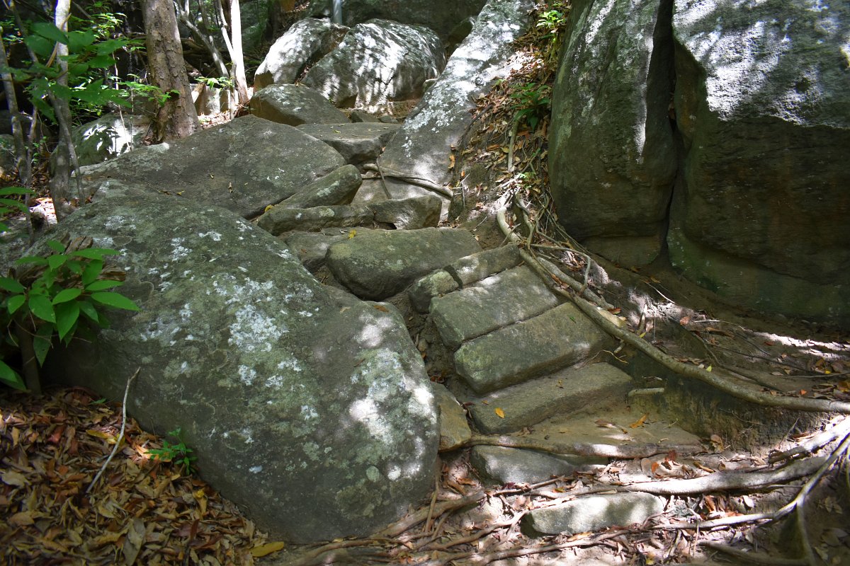 Rassagala - path through the forest