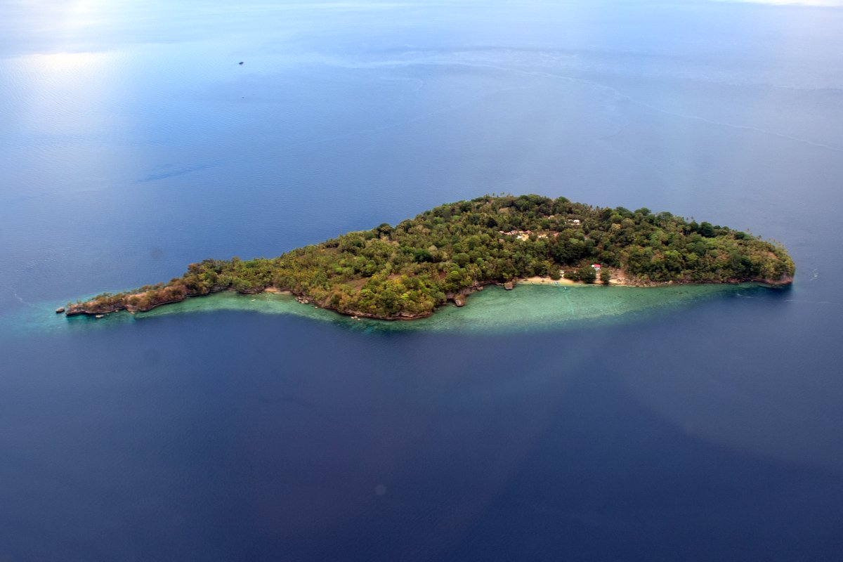Banana island from above