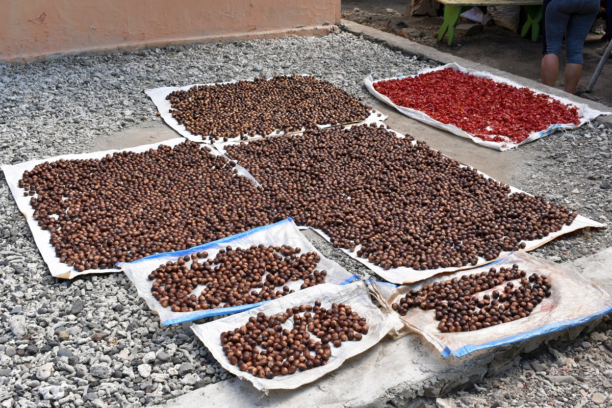 Nutmeg drying in the street on Banda Besar