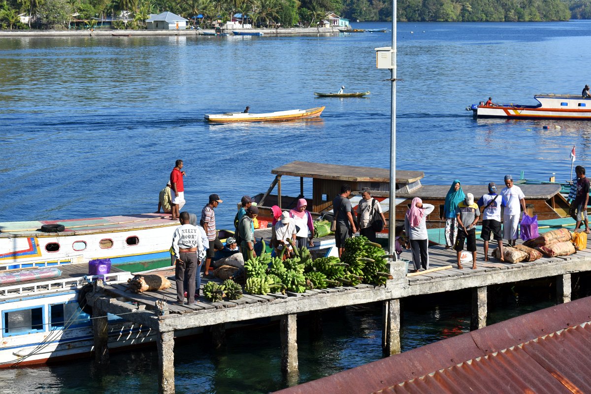 Local harbour