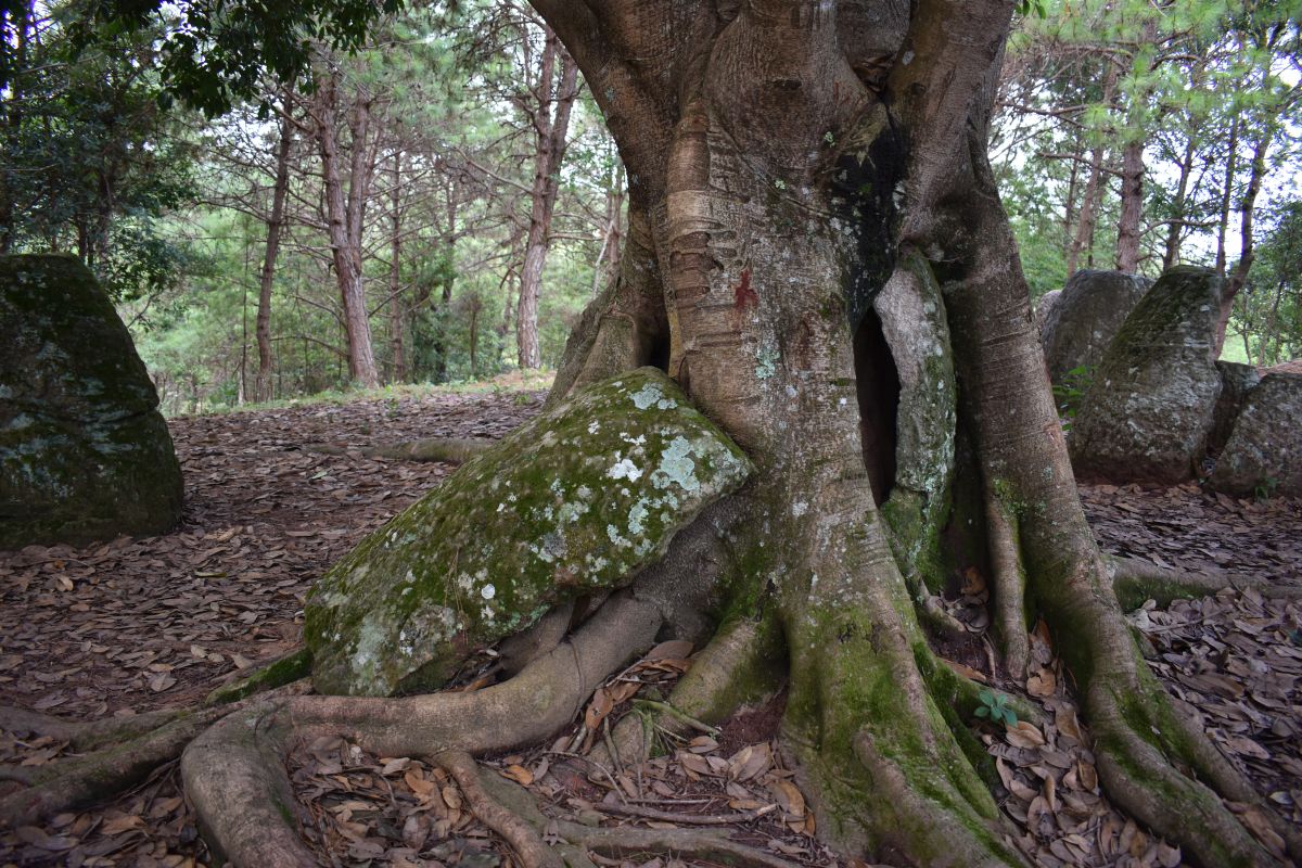 Jar site 2
